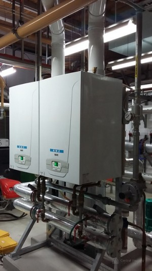baxi duotec MP commercial boiler